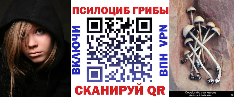 Галлюциногенные грибы MAGIC MUSHROOMS  Городовиковск 